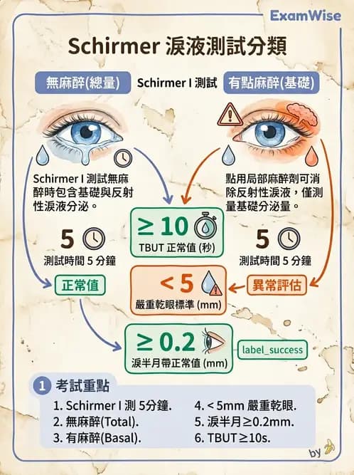 驗光生 - 眼前段檢查與角膜測量 - AI 圖文解析預覽