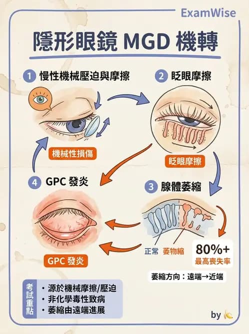驗光生 - 乾眼、沉積物與結膜過敏反應 - AI 圖文解析預覽