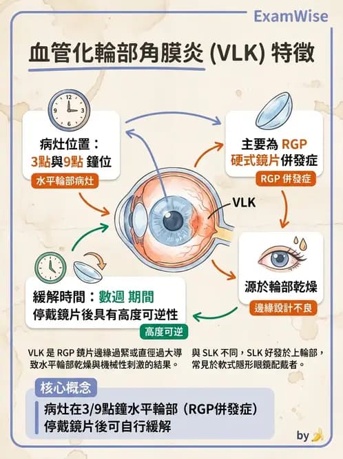 驗光生 - 角膜表面機械性損傷與染色 - AI 圖文解析預覽