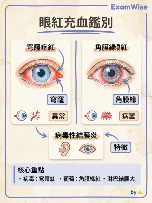 驗光生 - 角膜、結膜與眼前段疾病 - AI 圖文解析預覽