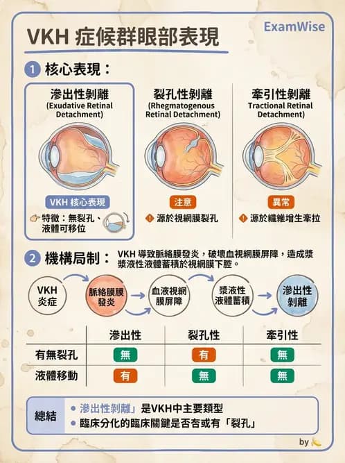 驗光生 - 全身性疾病眼部表現與神經眼科 - AI 圖文解析預覽