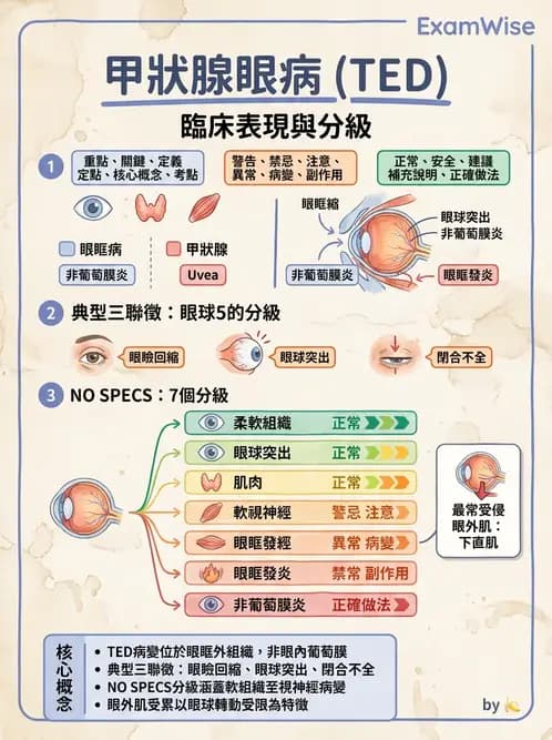 驗光生 - 全身性疾病眼部表現與神經眼科 - AI 圖文解析預覽