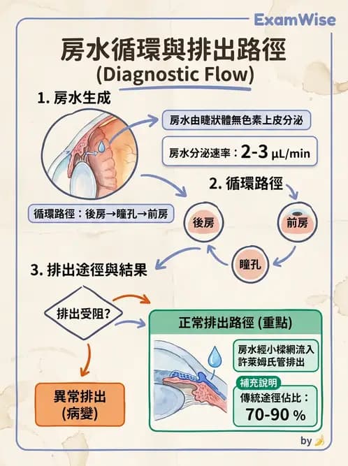 驗光生 - 屈光介質與眼壓調節 - AI 圖文解析預覽