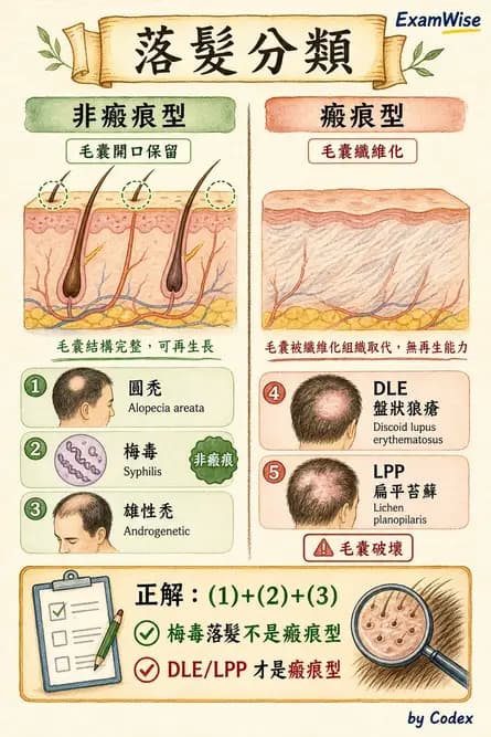內專 - 免疫皮膚病與藥物反應 - AI 圖文解析預覽