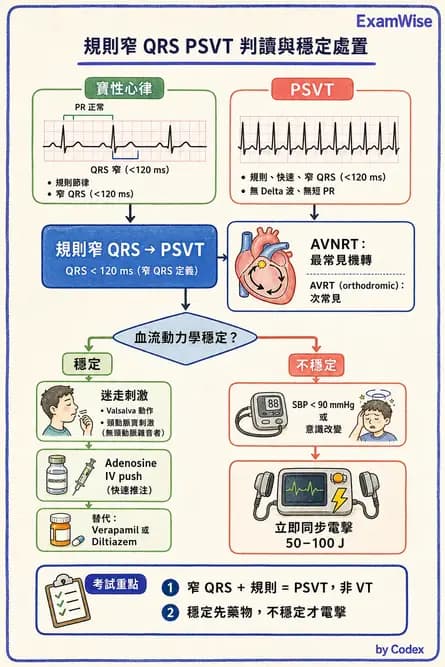 內專 - 心房顫動與上心室心律不整 - AI 圖文解析預覽