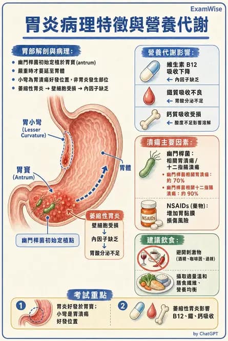 營養 - 腸胃道疾病 - AI 圖文解析預覽