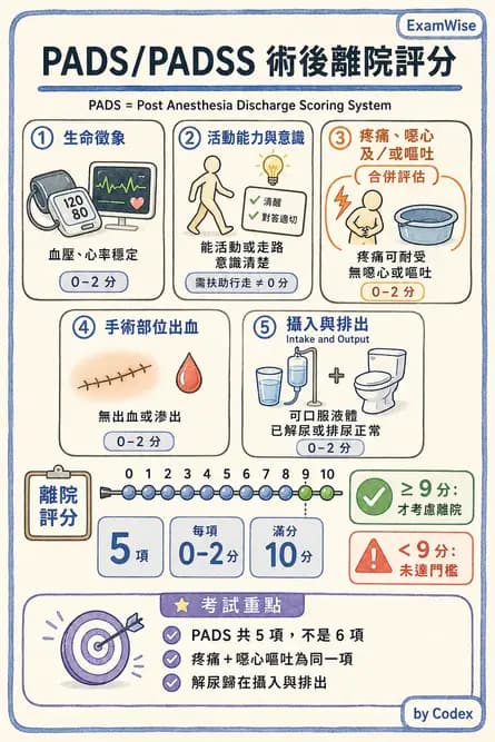 麻醉專護 - PACU照護、PONV與術後寒顫 - AI 圖文解析預覽