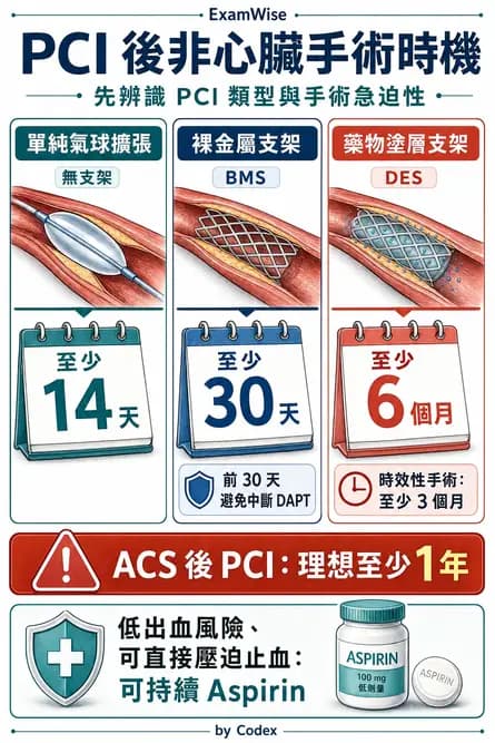 麻醉專護 - 術前評估與風險管理 - AI 圖文解析預覽