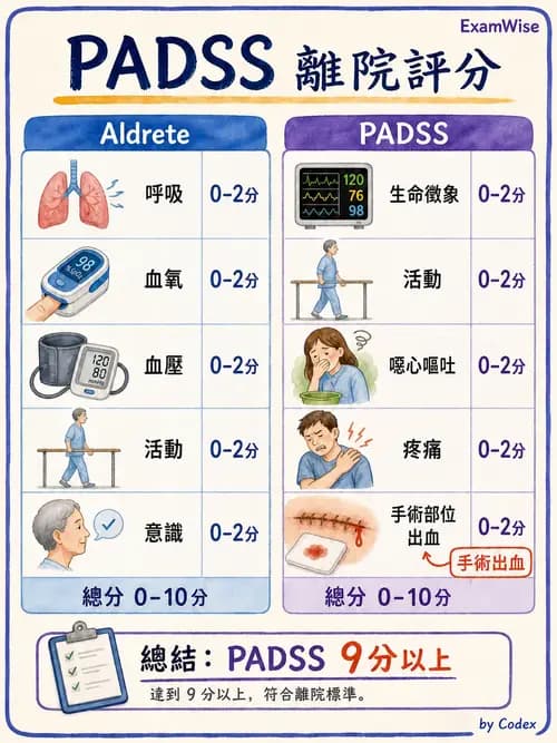 麻醉專護 - 麻醉恢復室照護與術後併發症 - AI 圖文解析預覽