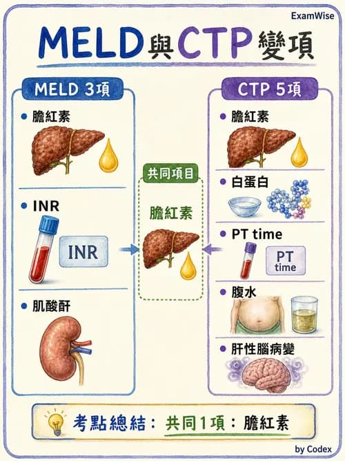麻醉專護 - 腎臟肝臟疾病與神經生理評估 - AI 圖文解析預覽